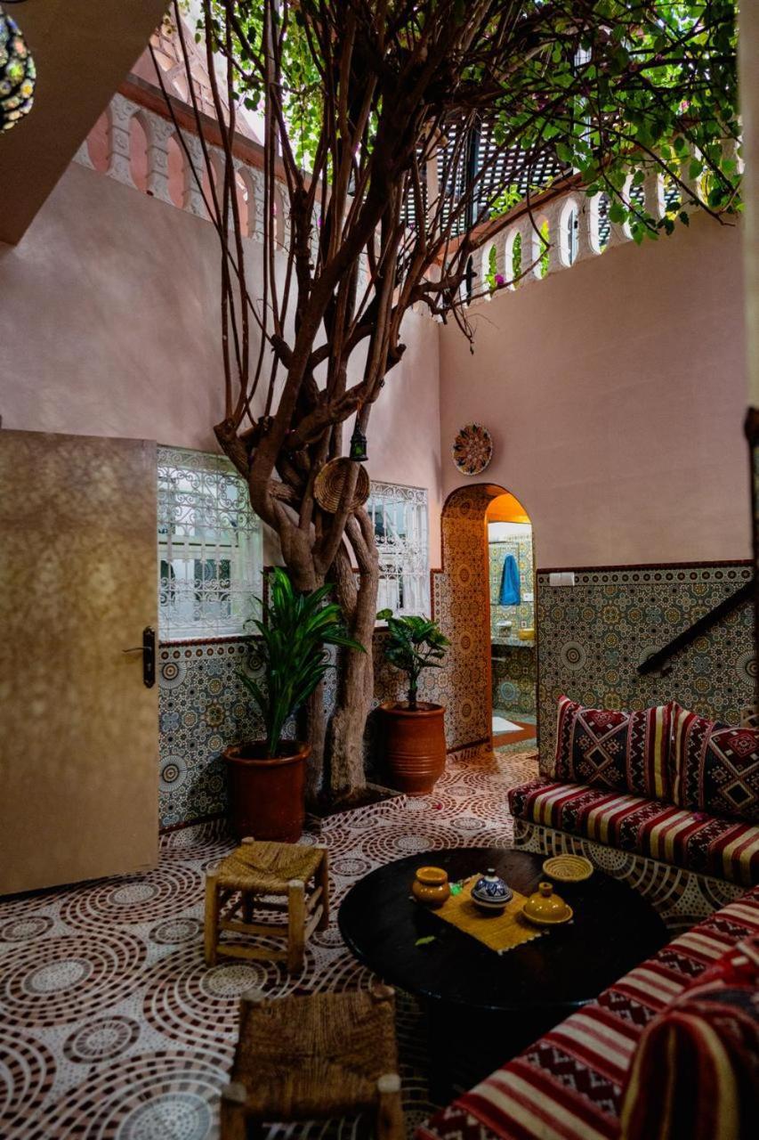 Surf Riad Taghazout Exteriér fotografie